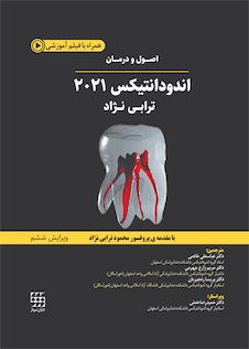 عکس اصول و درمان اندودانتیکس ترابی نژاد 2021 چاپ سیاه و سفید